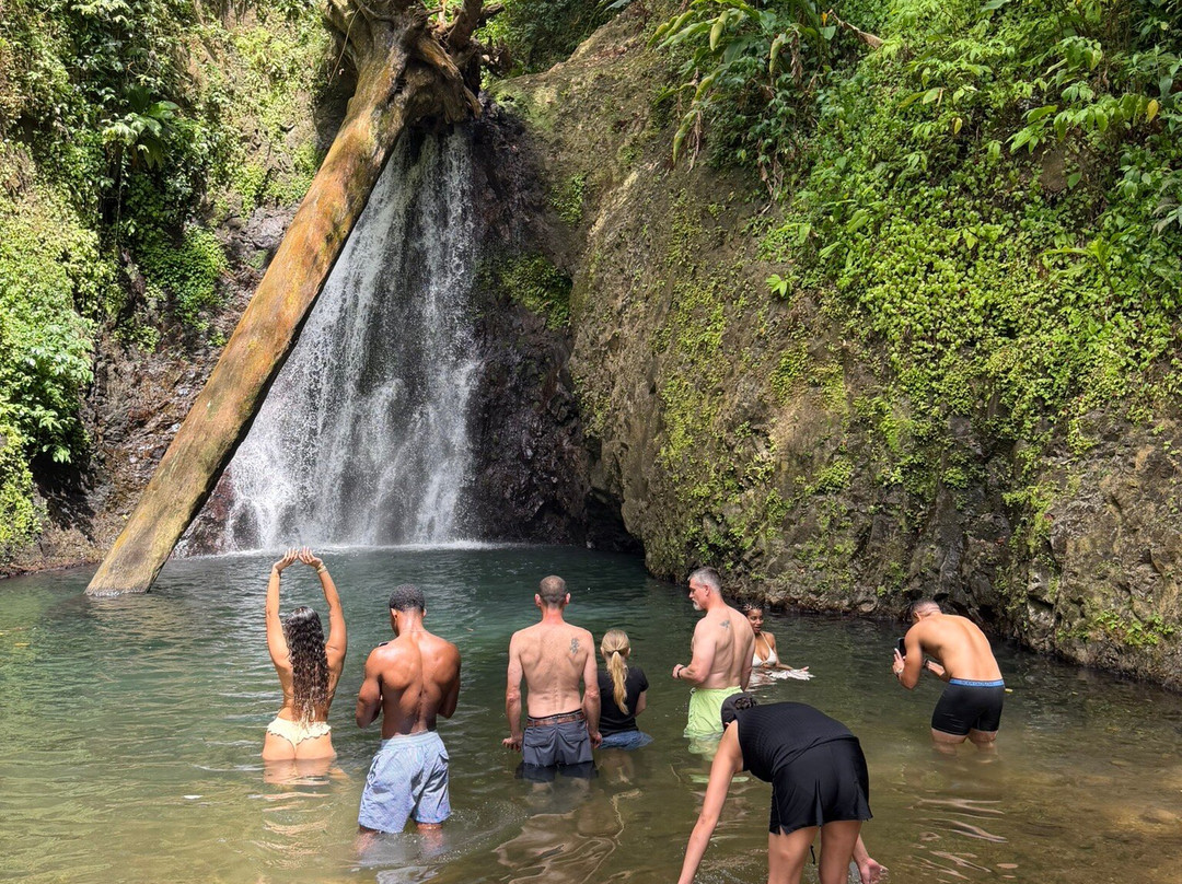 Seven Sisters Waterfalls Grenada-Grand Etang National Park必去景点