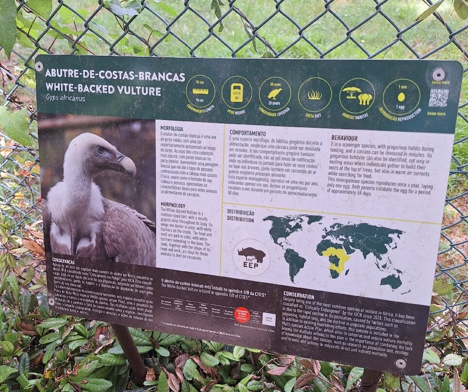 Zoo Santo Inácio-加亚新城必去景点