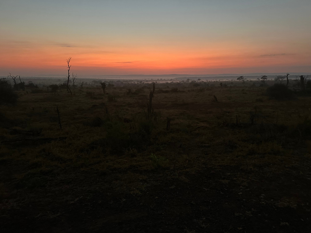 Southern Kruger Safaris-玛洛斯帕克必去景点