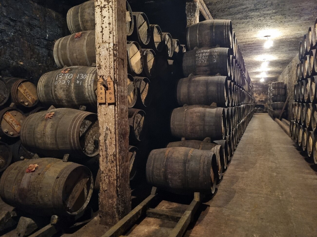 Bodegas Lopez de Heredia Vina Tondonia-哈罗必去景点