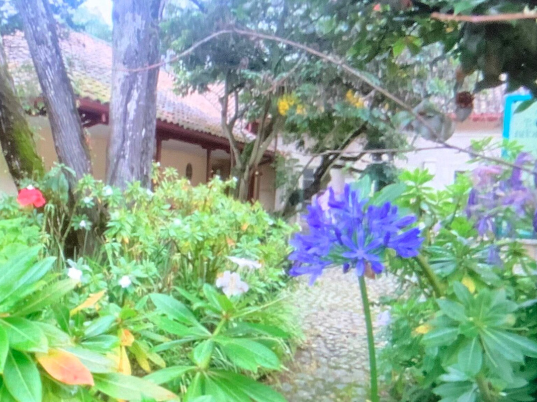 玻利瓦尔金塔故居博物馆-波哥大必去景点