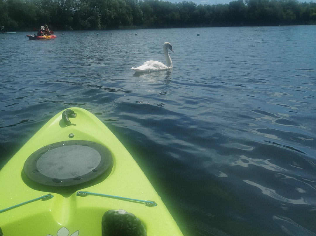 Cotswold Water Park Hire-南塞尔尼必去景点