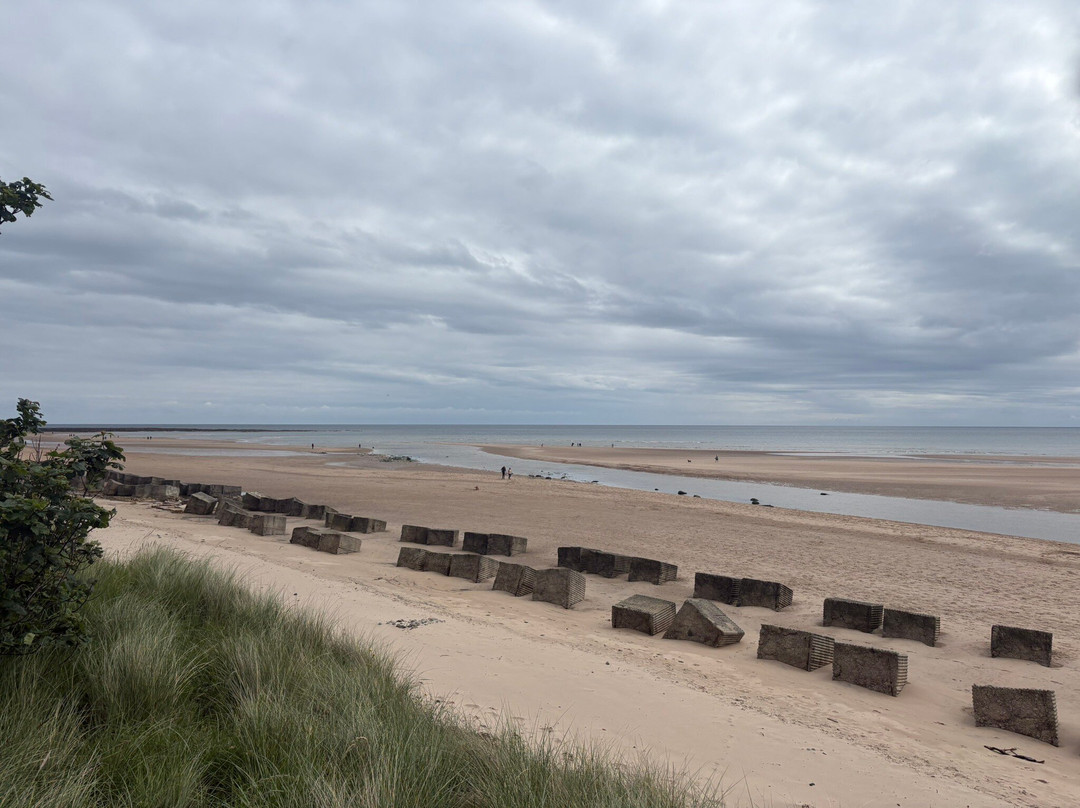 Alnmouth Beach-Alnmouth必去景点