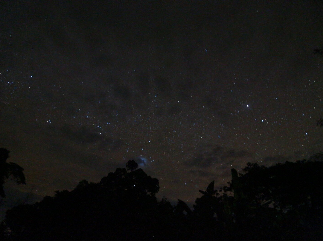 Amaselva Tours - Colombia Amazon-莱蒂西亚必去景点