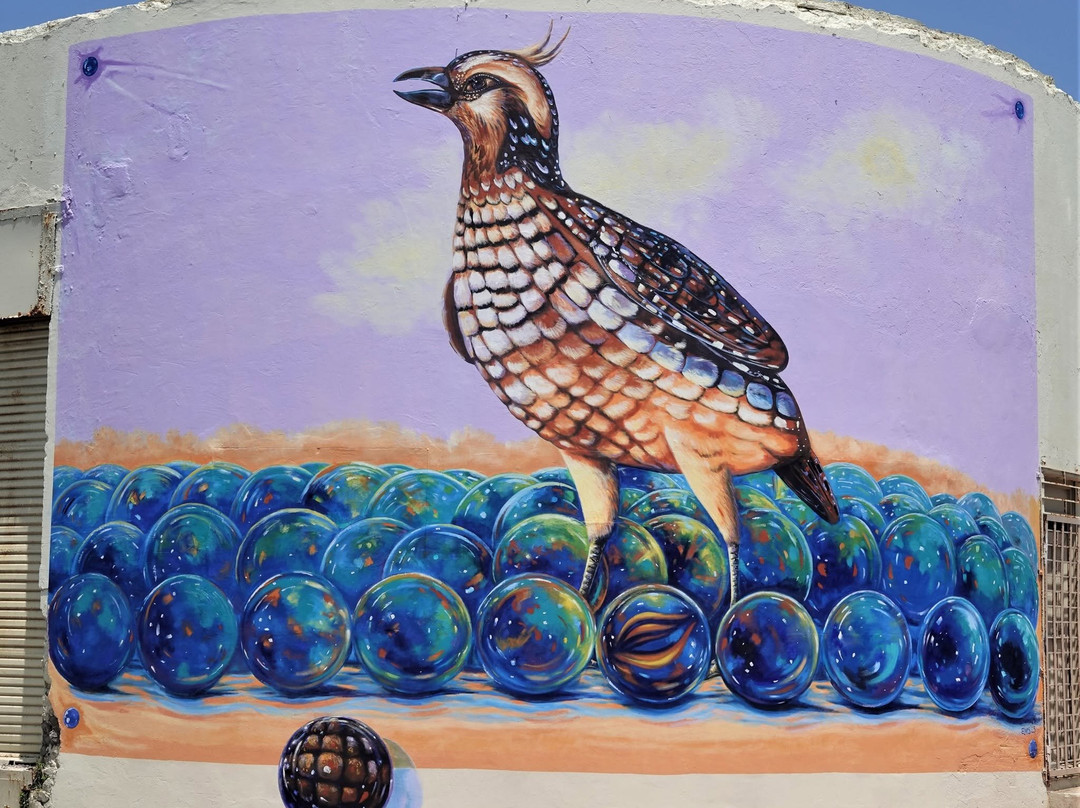Street Murals By Aruba Art Fair-San Nicolas必去景点