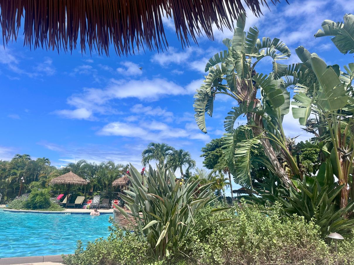 雅诗顿毛伊卡阿纳帕利别墅酒店-旅行者