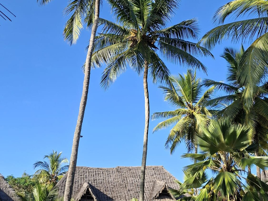 Paradise Beach Resort & Spa主图