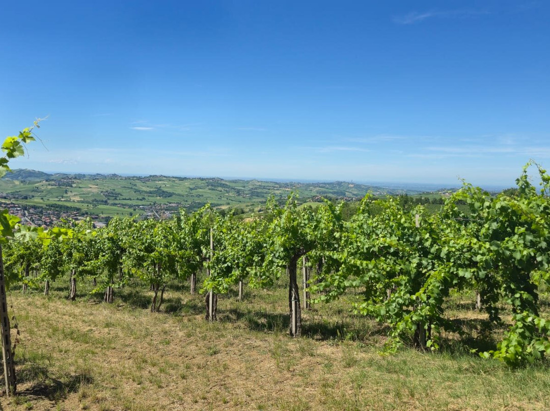 Tenuta Riccardi - Vini dal 1912-Santa Maria della Versa必去景点