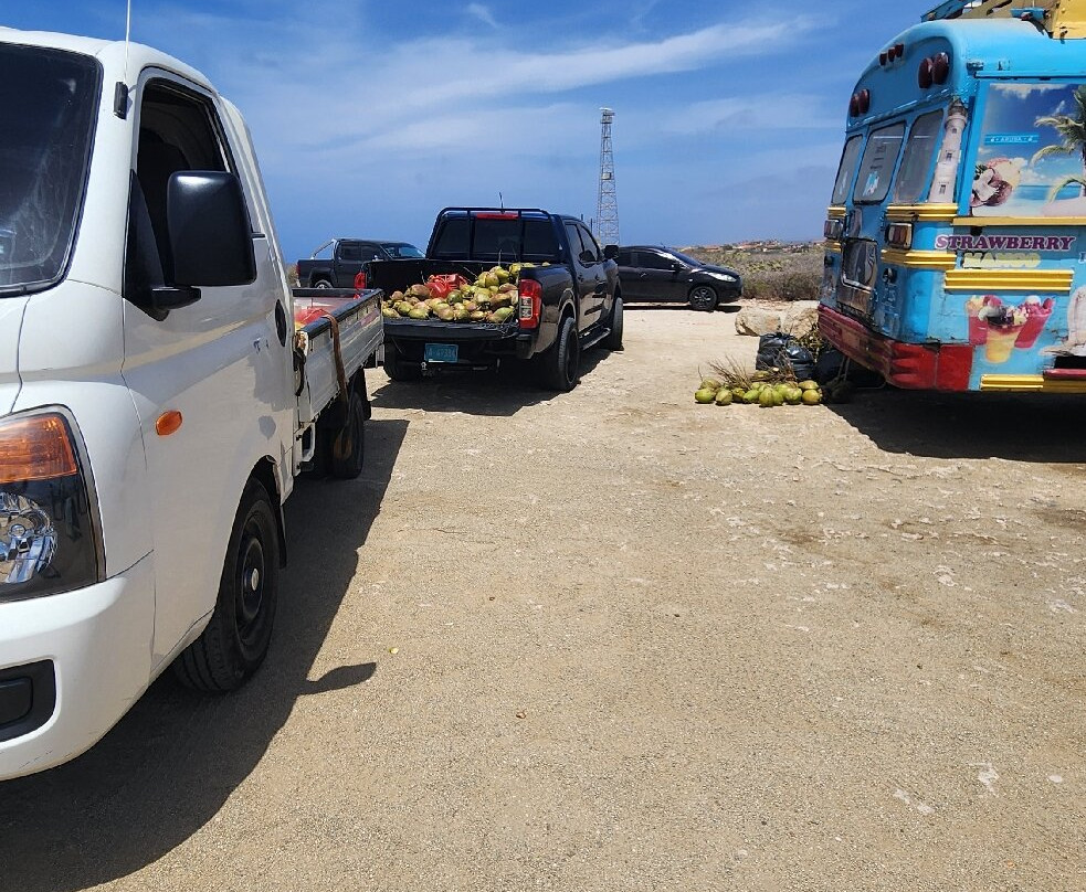 HF Tours & Transfers Aruba-奥腊涅斯塔德必去景点