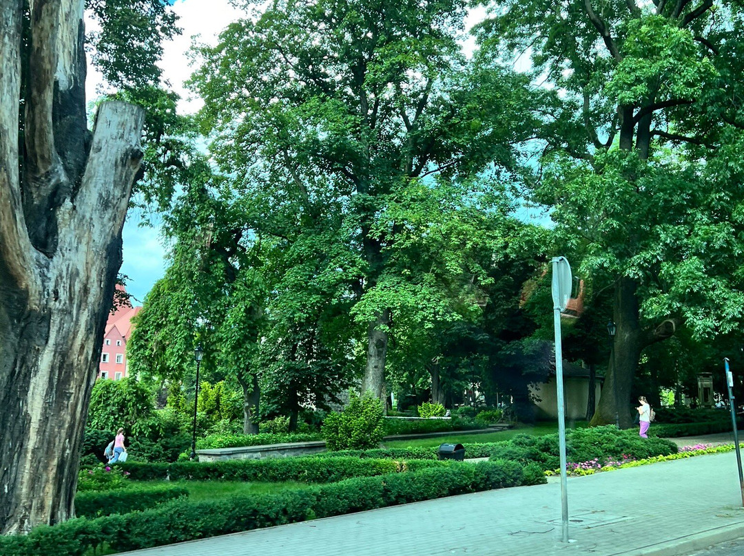 More4u & Poland Tailored Tours4u-波力斯拉韦兹必去景点