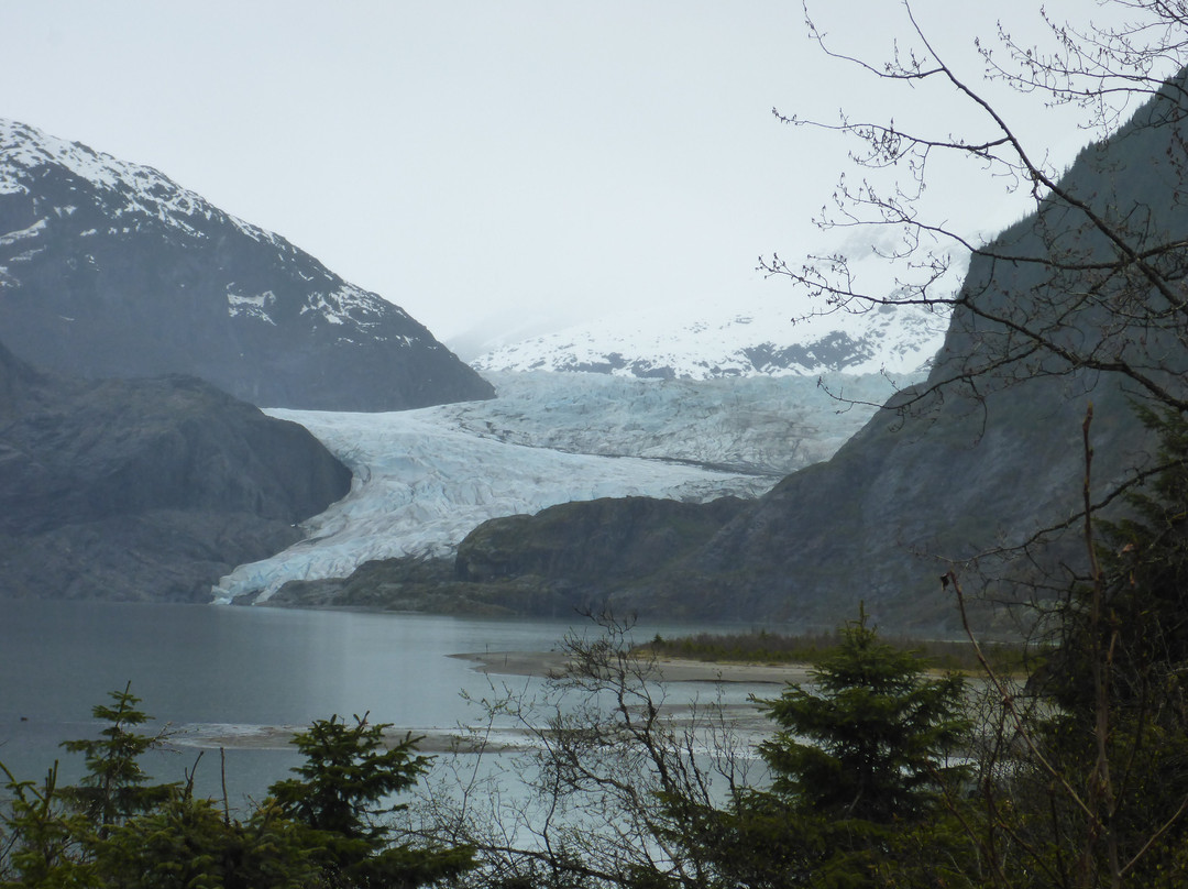 Mendenhall Glacier-朱诺必去景点