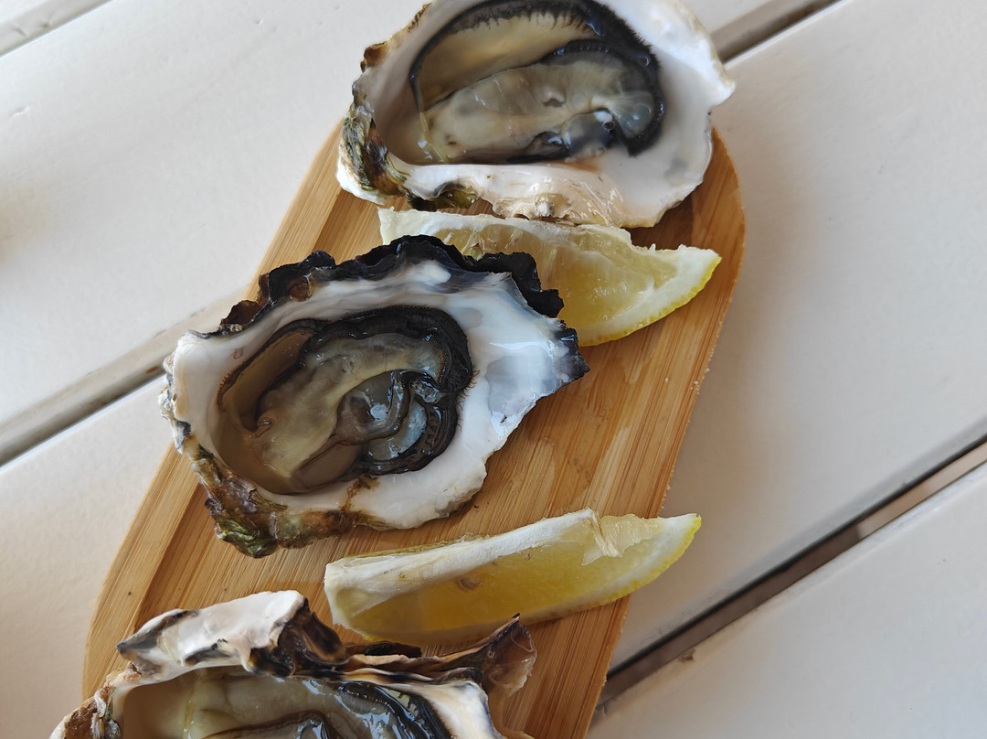 Mussel And Oyster Farm-科托尔必去景点