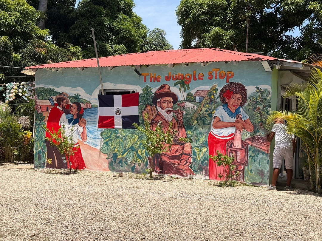 RV Tours DR - Puerto Plata Adventures-Maimon必去景点