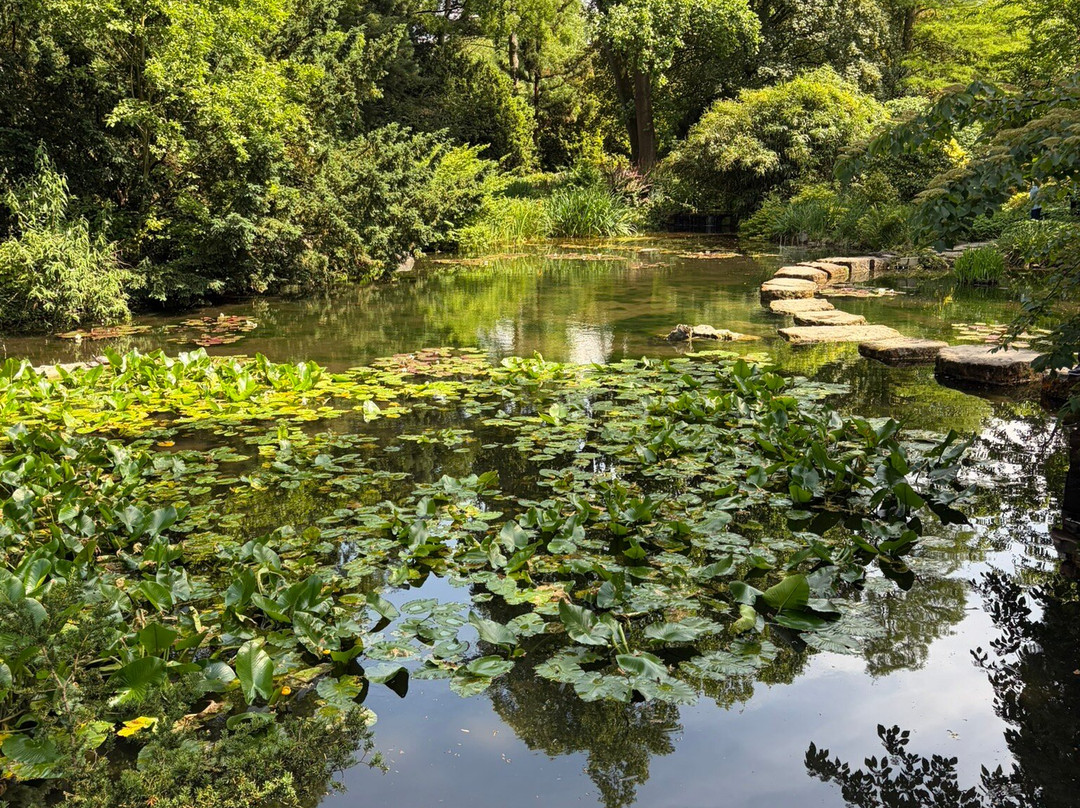 Japanese Garden Leverkusen-勒沃库森必去景点