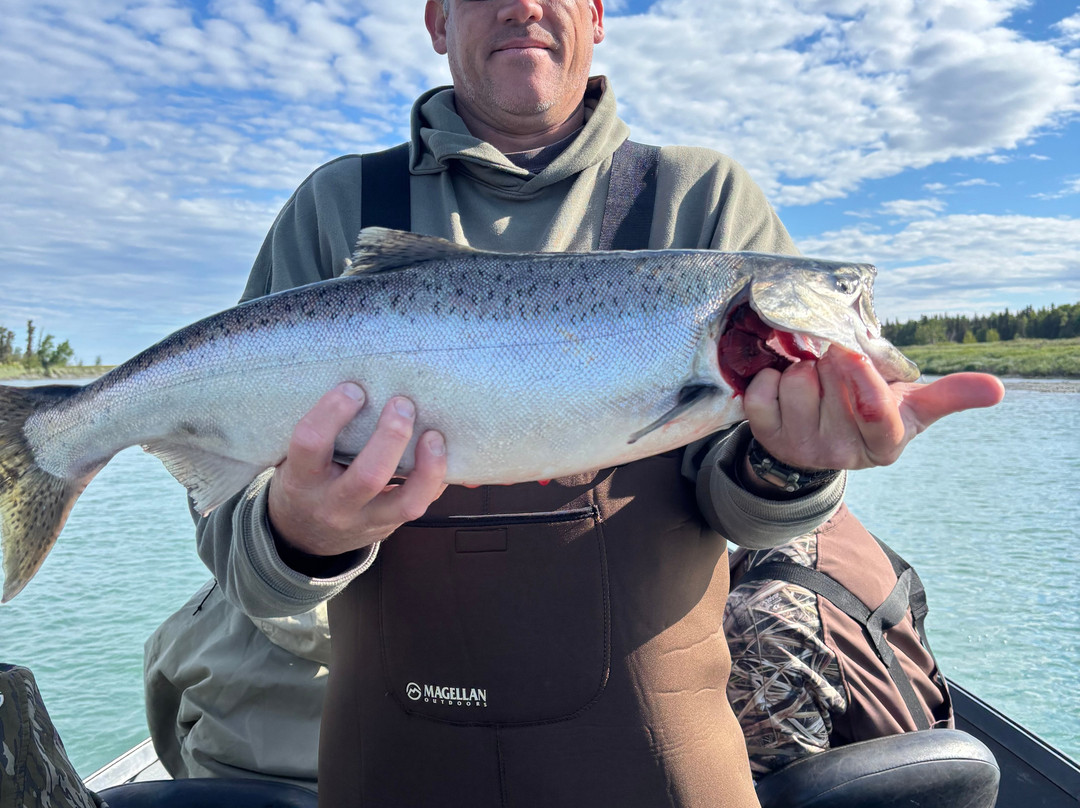 Kenai Kingpin Sportfishing-索尔多特纳必去景点