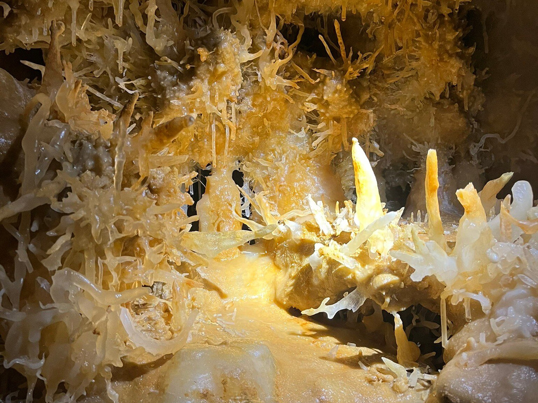 Grotte du Grand Roc-Les Eyzies-de-Tayac-Sireuil必去景点