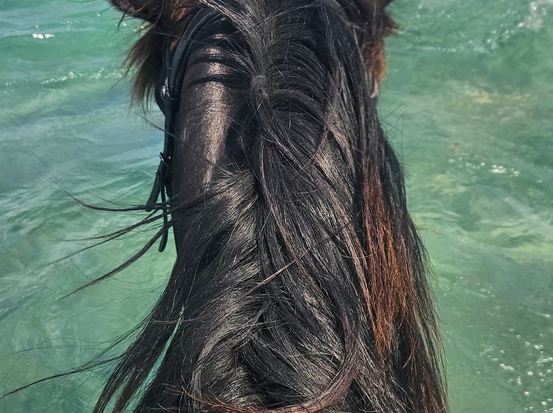 Salt Lake Stables-Marmari必去景点