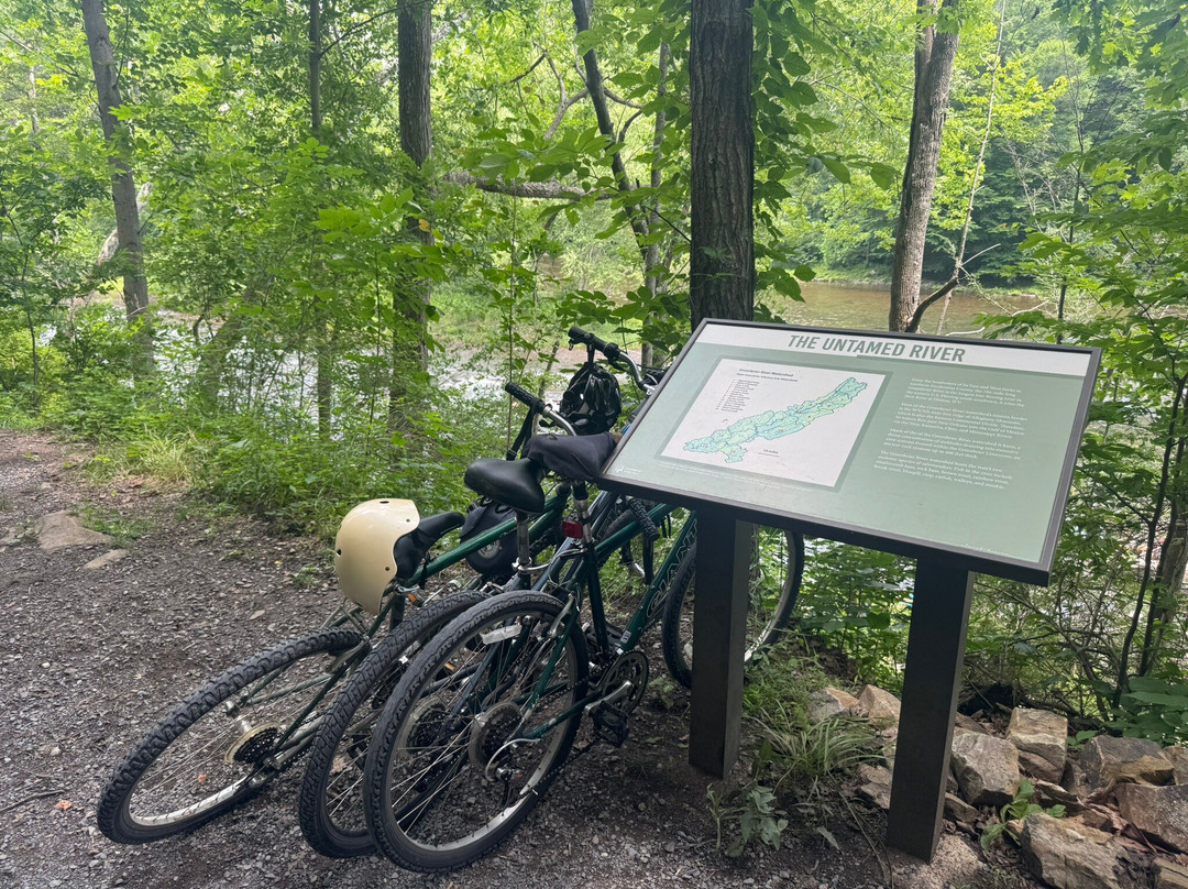 River City Bikes & River Adventures
