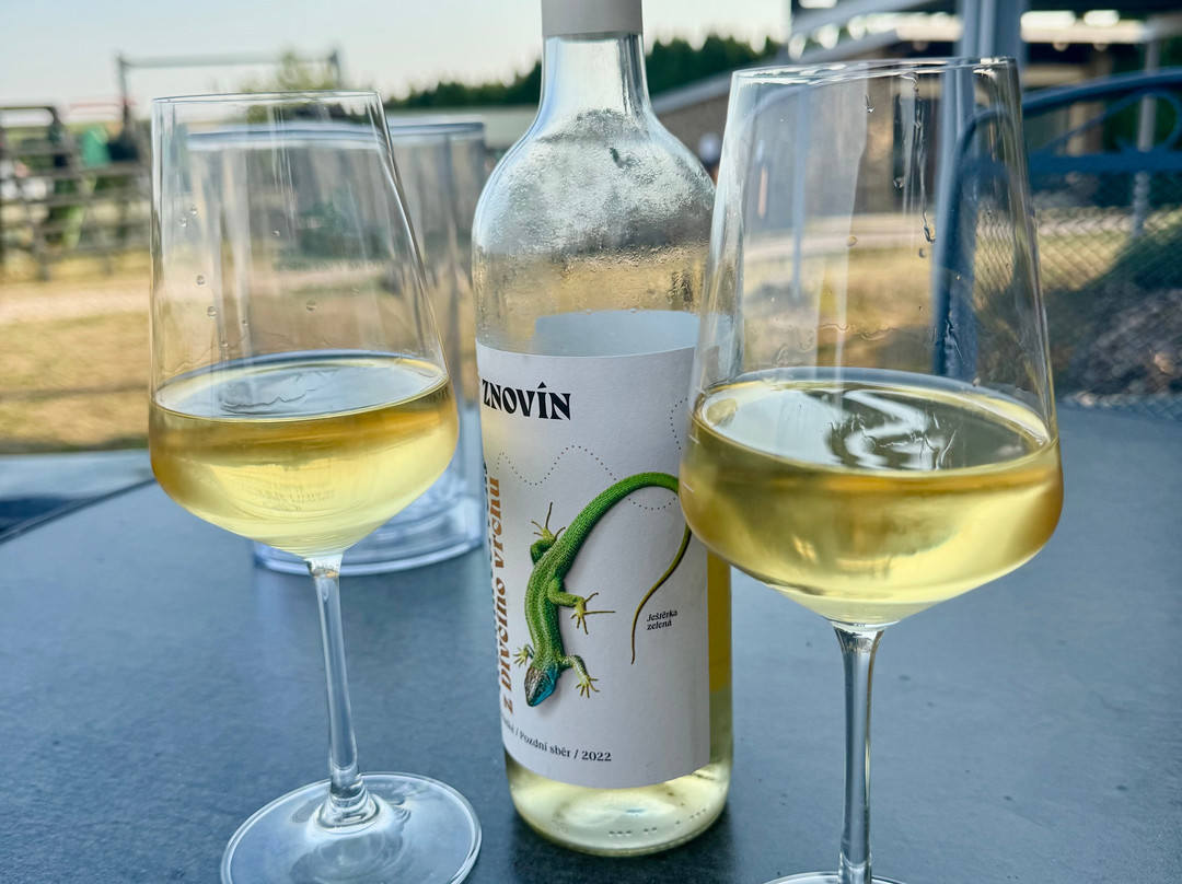快乐星养生酒店主图