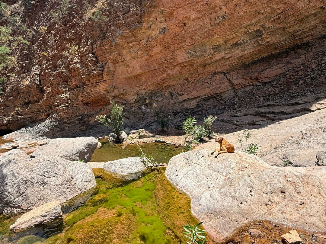 Tayyu Hiking-Taghazout必去景点