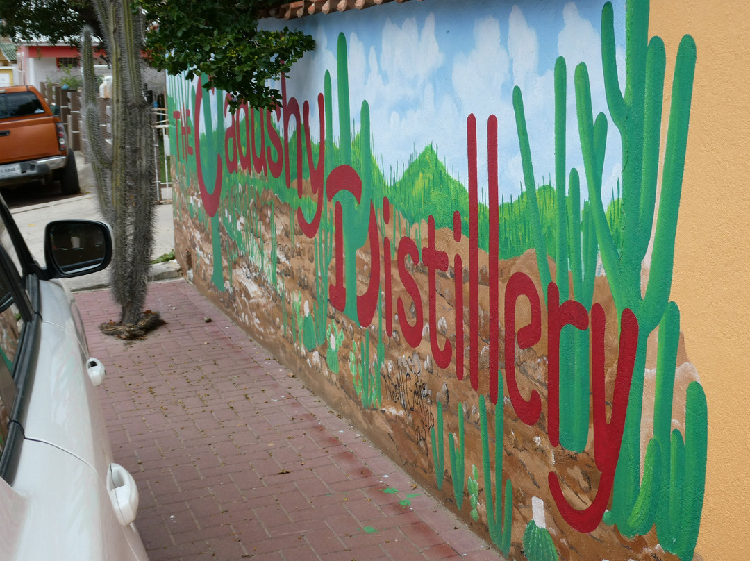 The Cadushy Distillery-Rincon必去景点