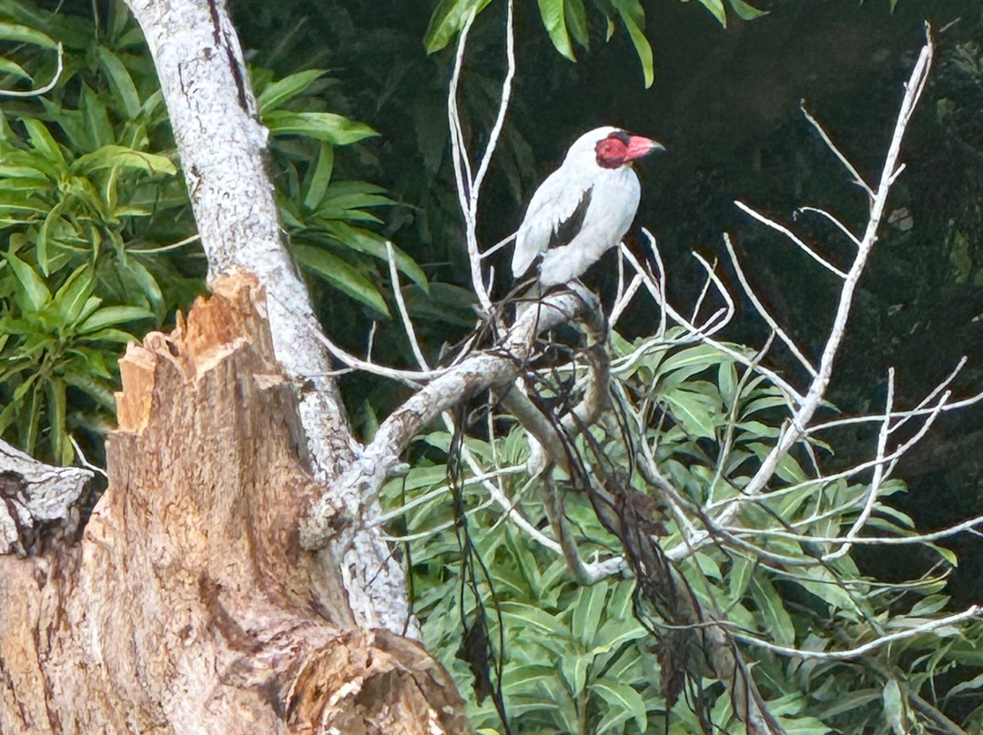 ILT Costa Rica-圣何塞必去景点