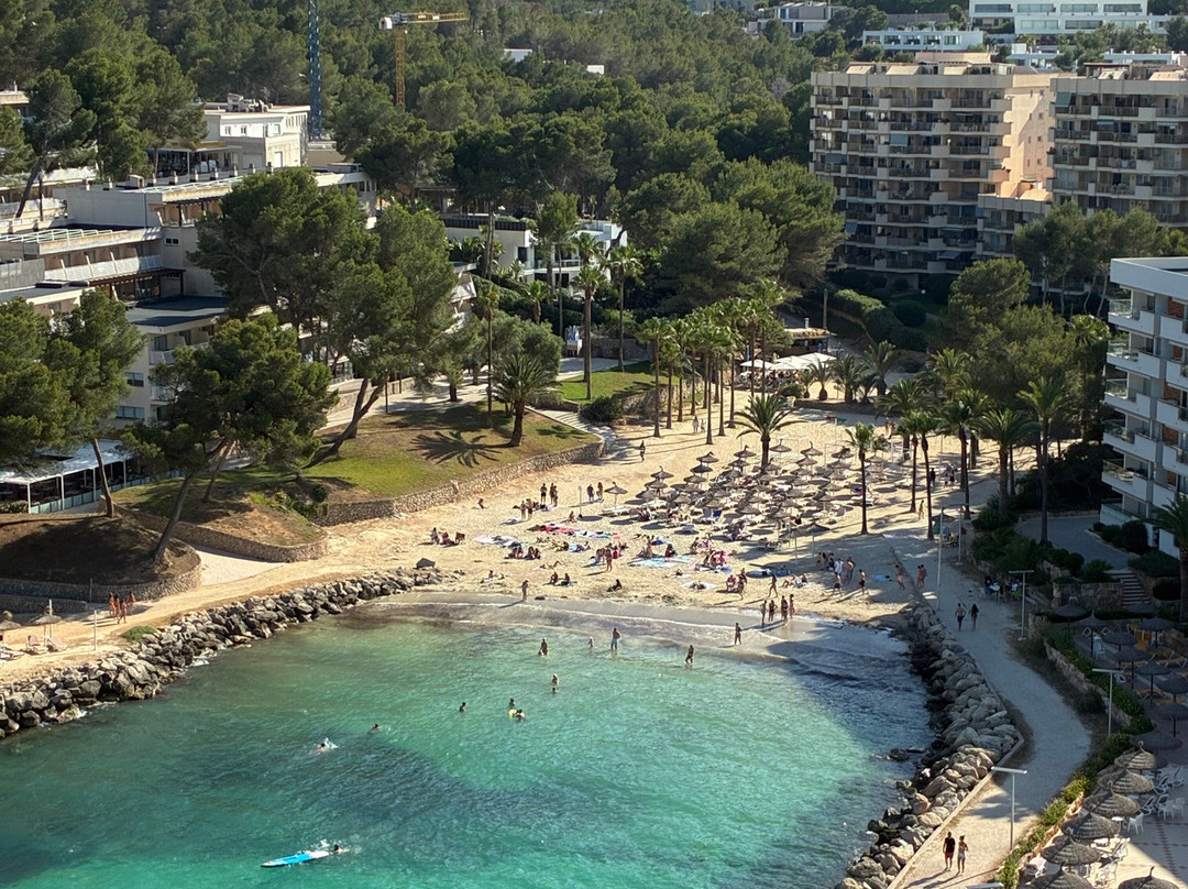 Globales Cala Viñas Adults Only 16+主图