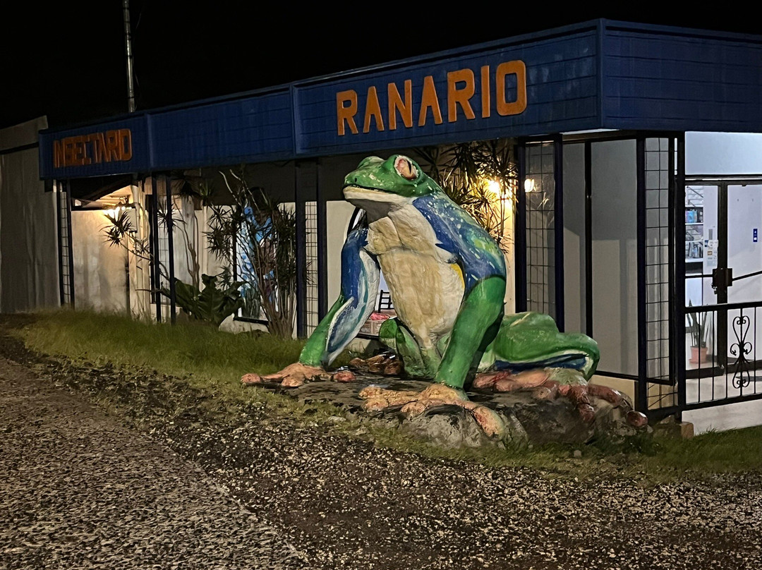 Ranario Monteverde Frog Pond-圣埃伦娜必去景点