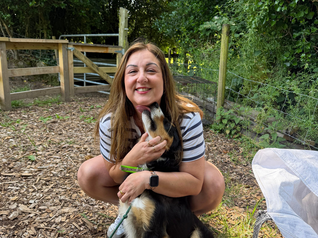 Kilkenny Sheepdog Experience-Thomastown必去景点