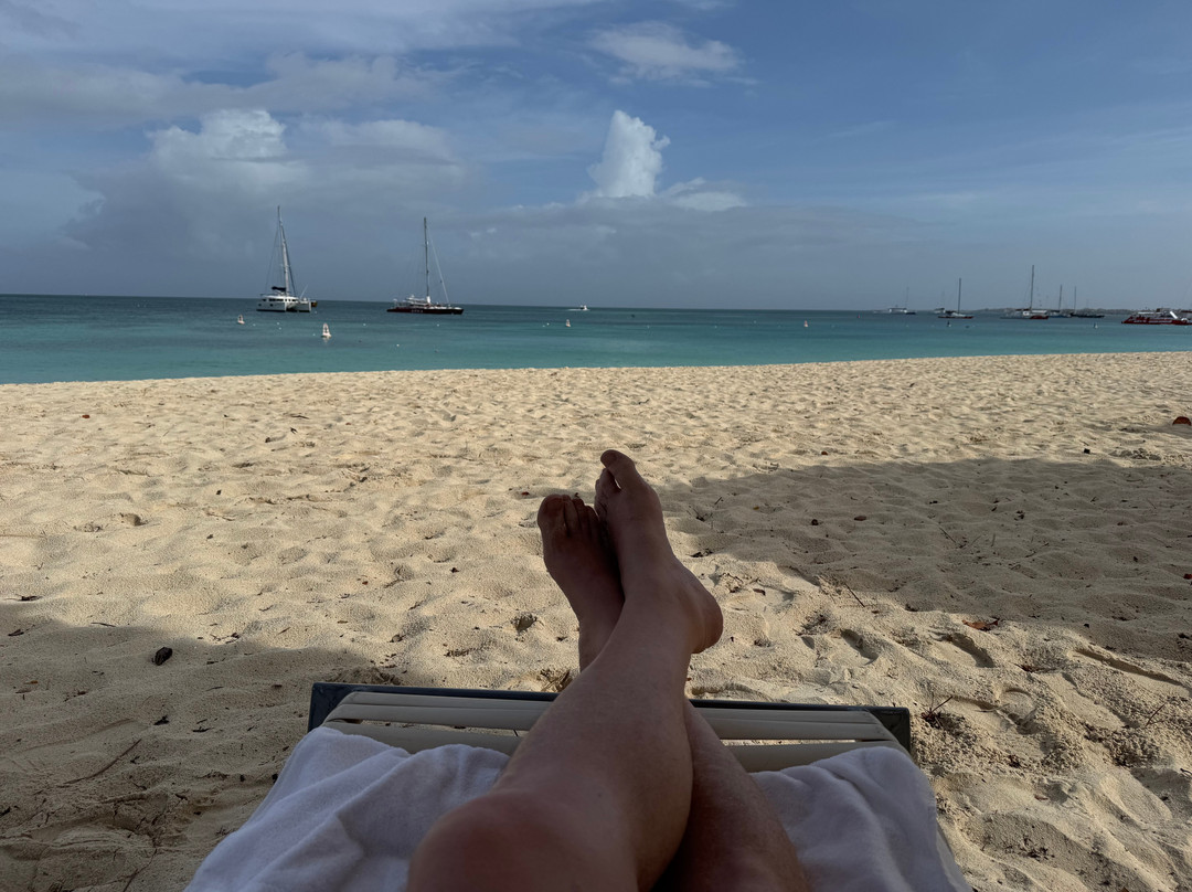 Palm Beach-棕榈/鹰海滩必去景点