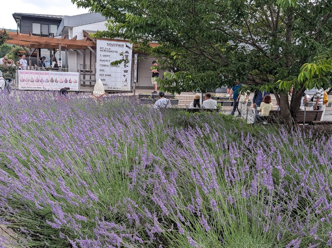 大石公园-富士河口湖町必去景点