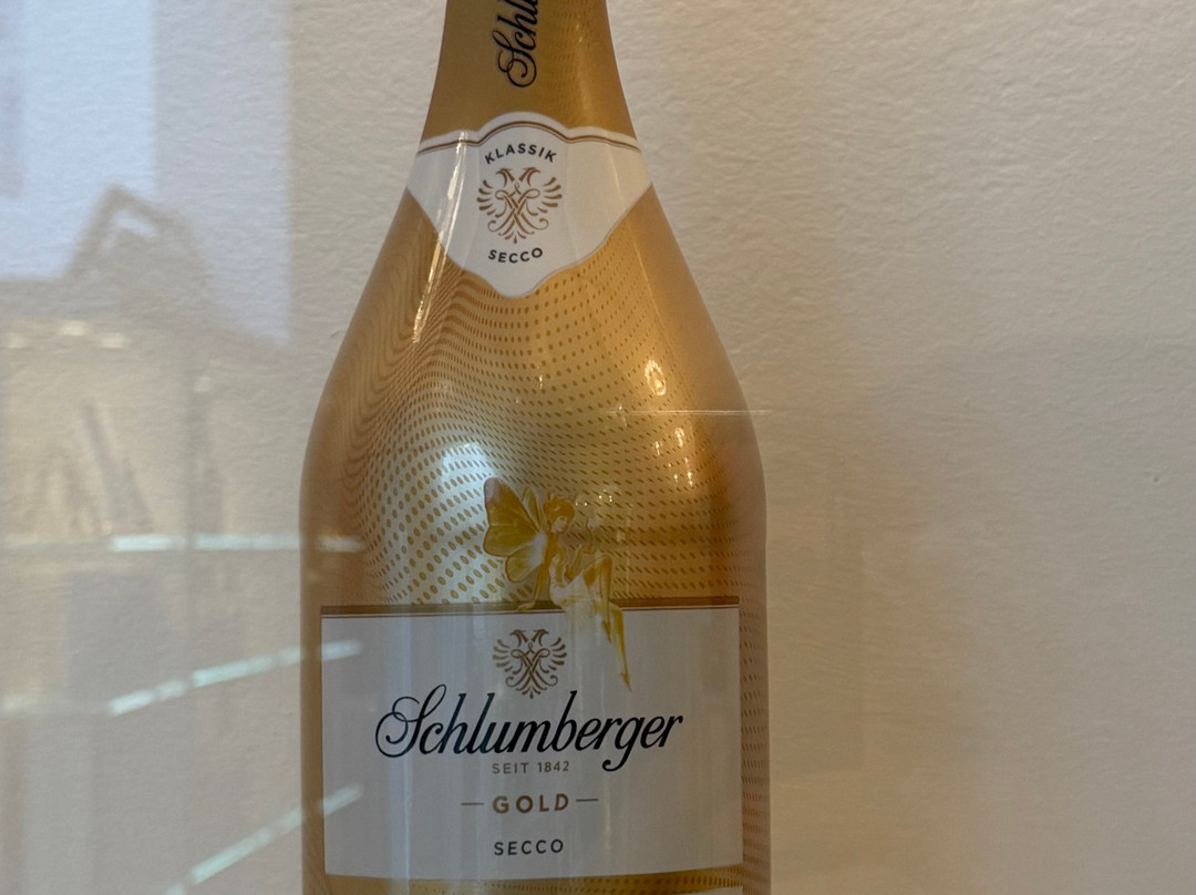Schlumberger Kellerwelten-维也纳必去景点