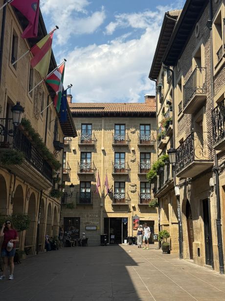 洛斯帕拉杰斯霍斯佩德里亚德酒店-旅行者