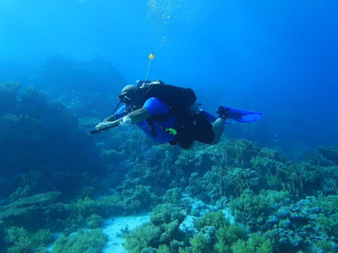 VIP Diving College-沙姆沙伊赫必去景点