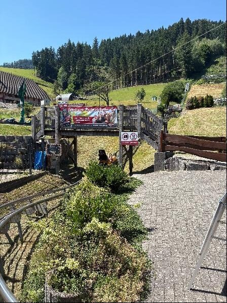 Hasenhorn Coaster Todtnau-托特瑙必去景点
