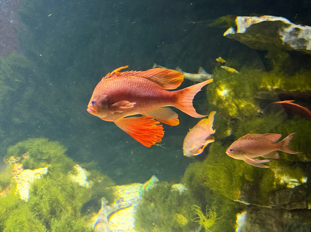 Zoo Basel-巴塞尔必去景点