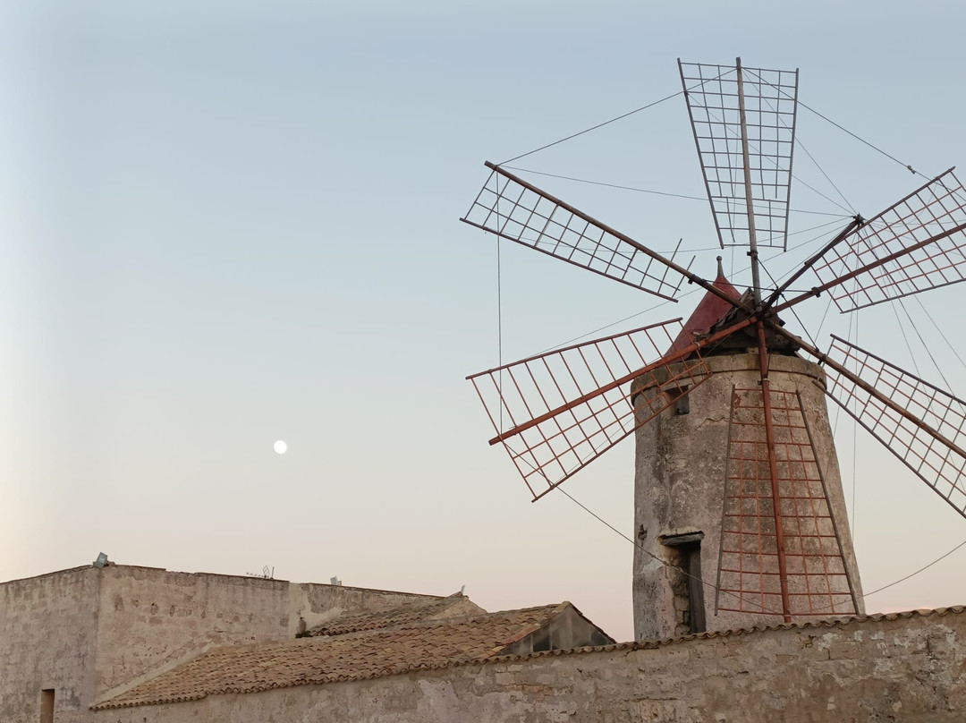 Riserva Naturale Saline Di Trapani E Paceco-特拉帕尼省必去景点