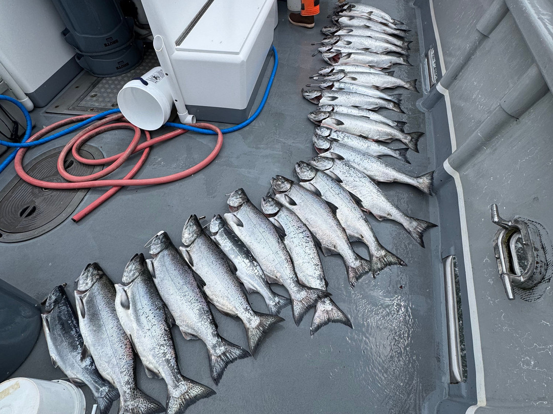 Tornado Fishing Charters-Westport必去景点