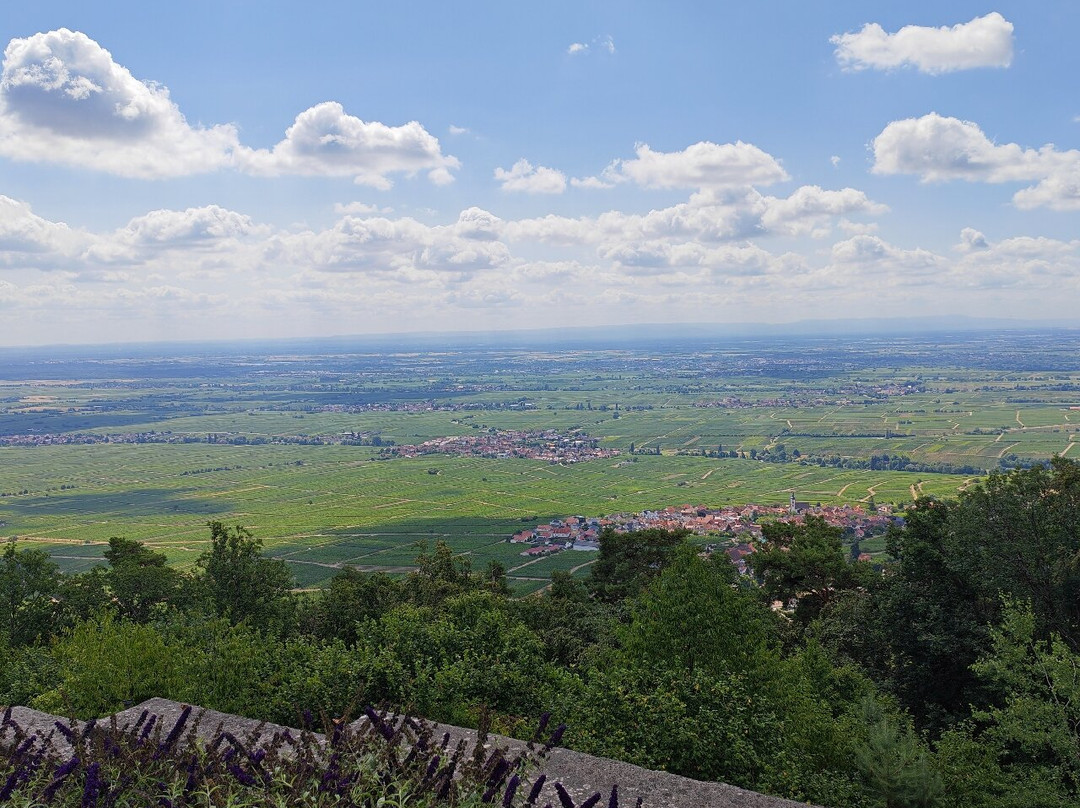 Rietburg Chairlift-Edenkoben必去景点