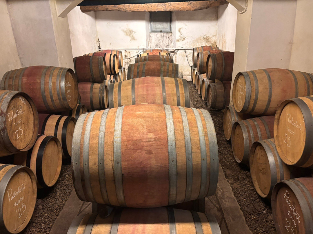 Tenuta di Valgiano-卢卡必去景点