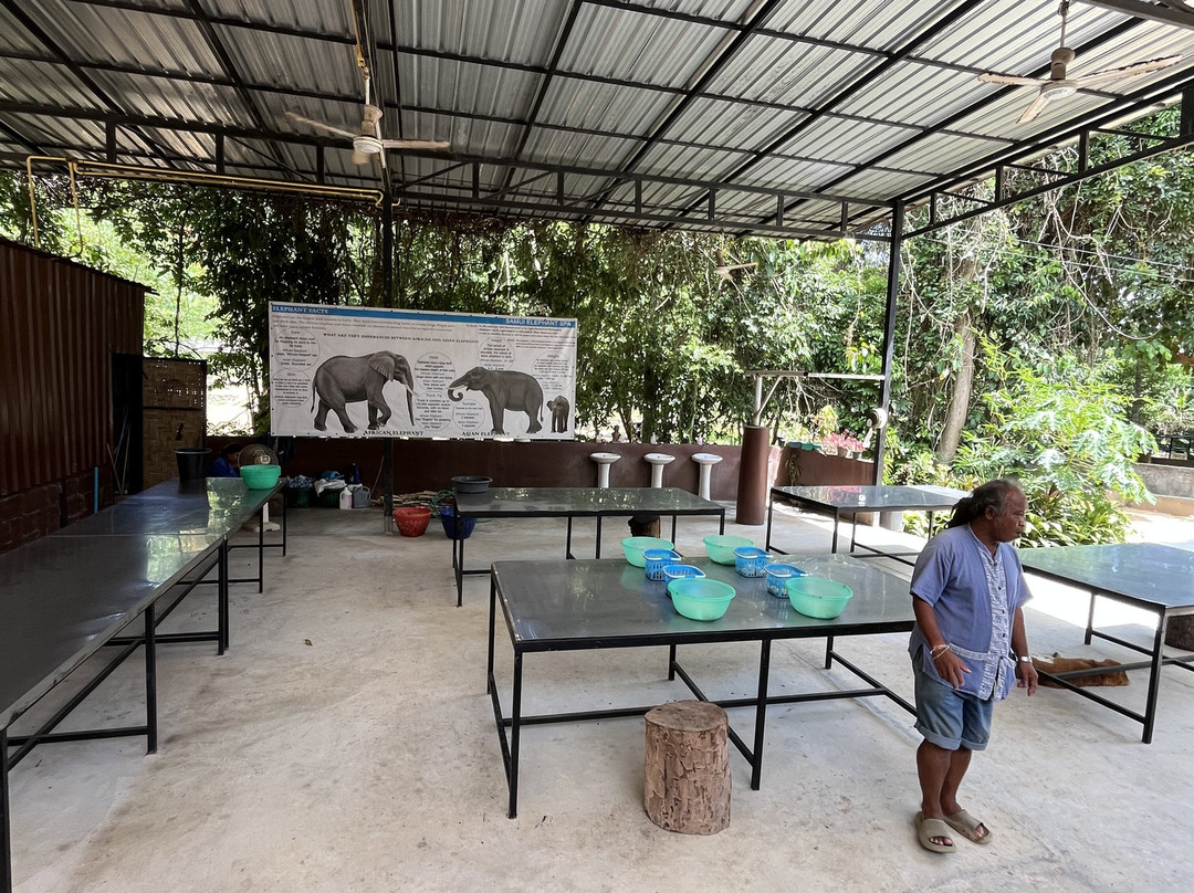 Samui Elephant Spa-苏梅岛必去景点
