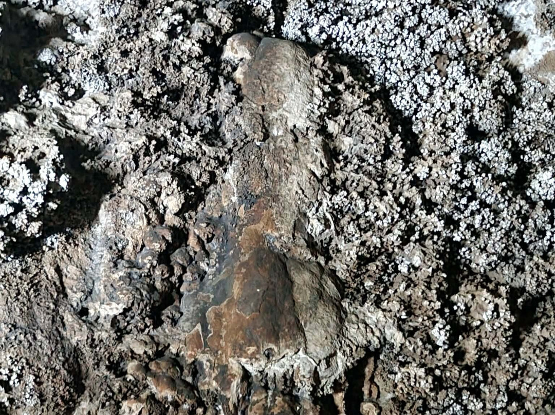 Coral Cave-拷索国家公园必去景点