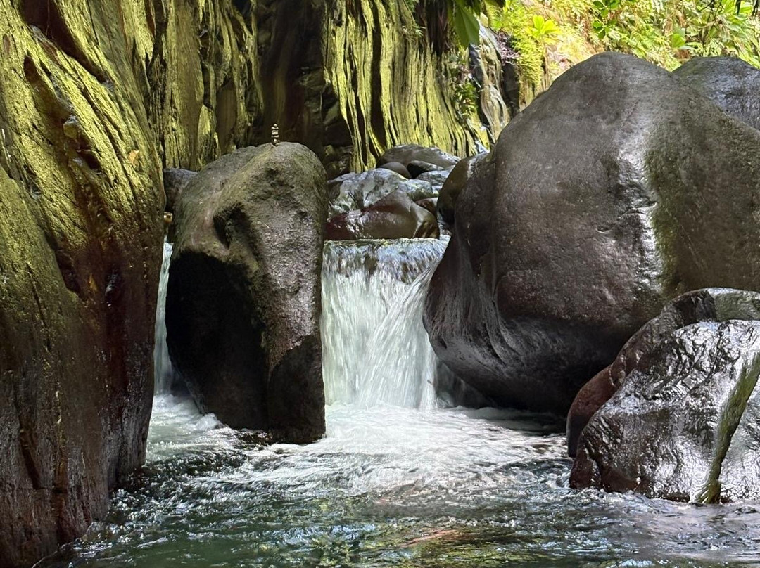 Canyon Moustique-Petit-Bourg必去景点