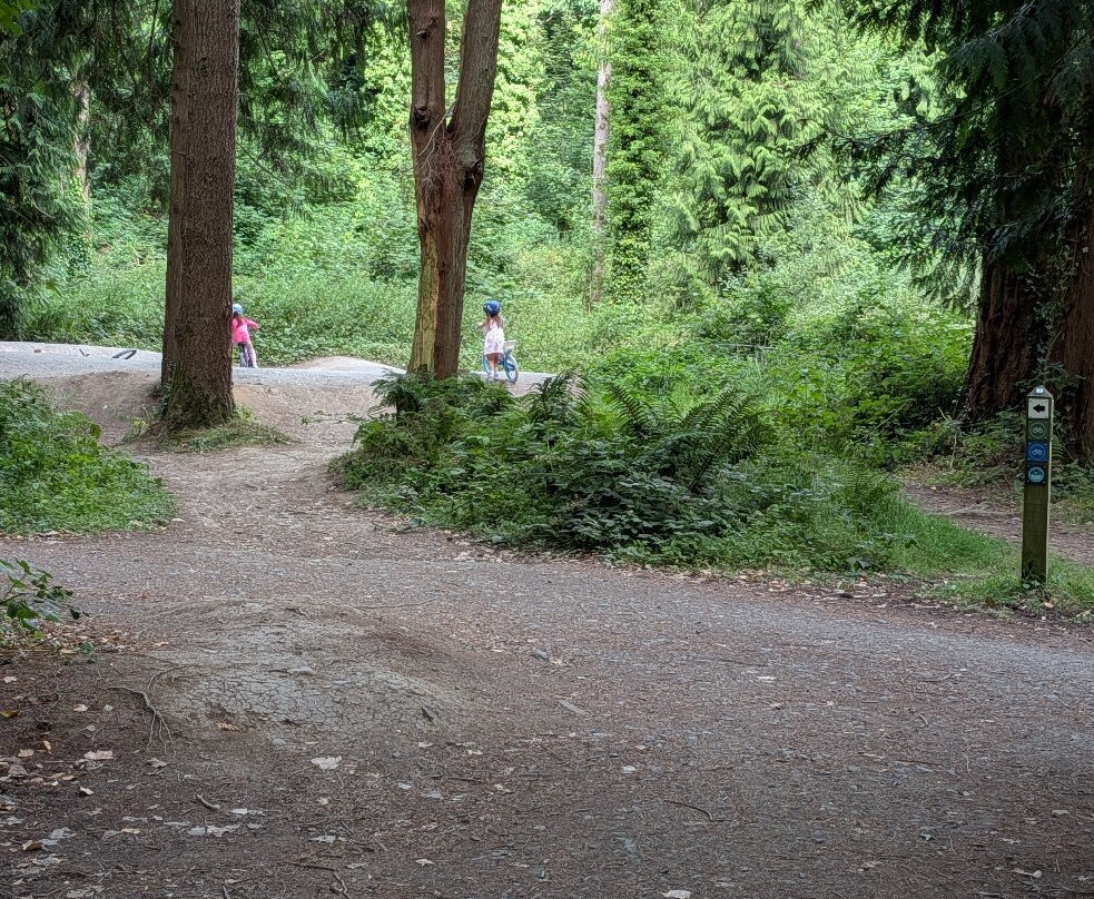 Gosford Forest Park-阿尔马必去景点