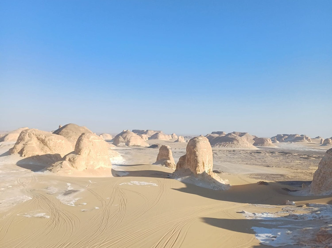 Egypt Western Desert Tours - Day Tour-Bawiti必去景点