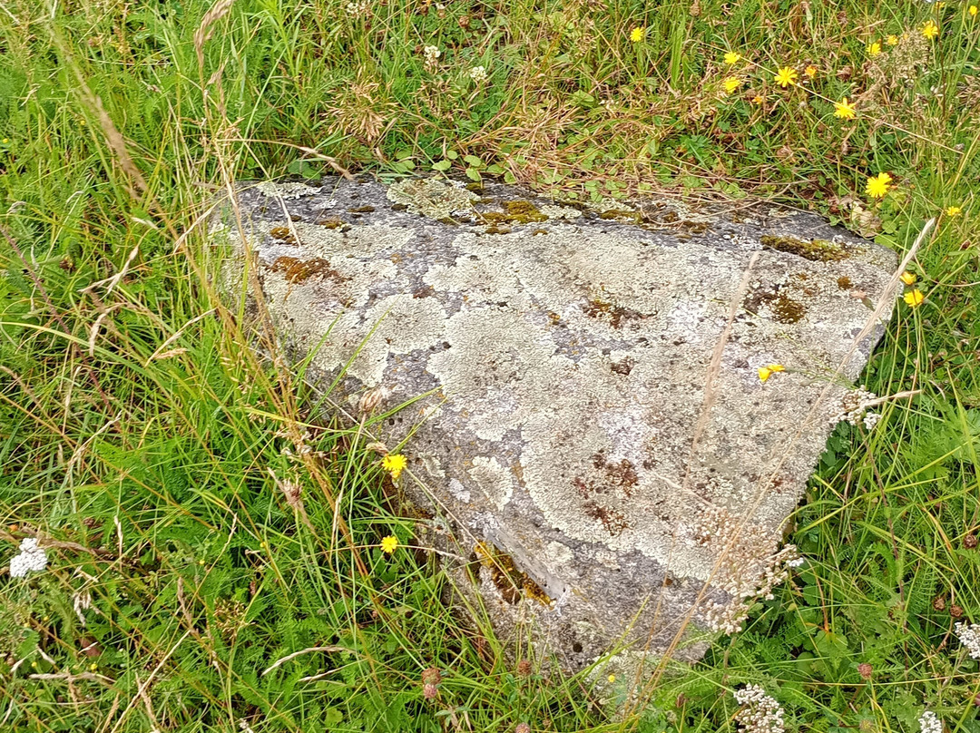 Findlingsring Breetze-Bleckede必去景点