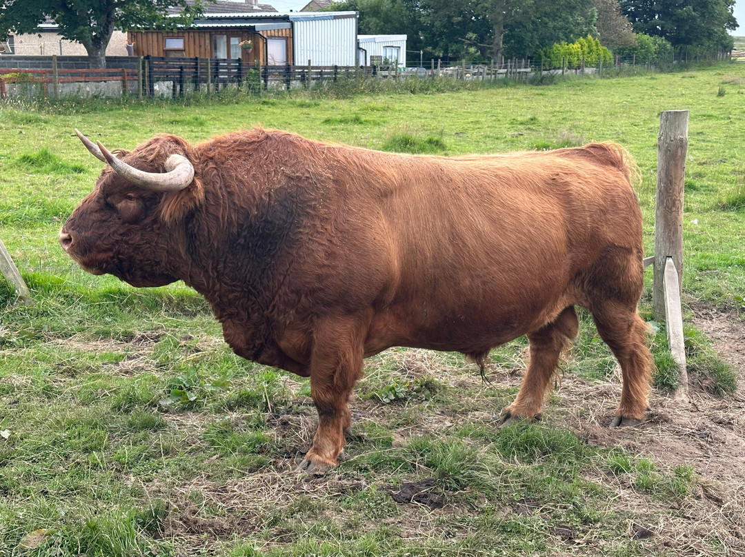 Geise Farm