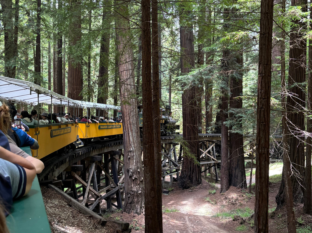 Roaring Camp Railroads-圣克鲁斯必去景点