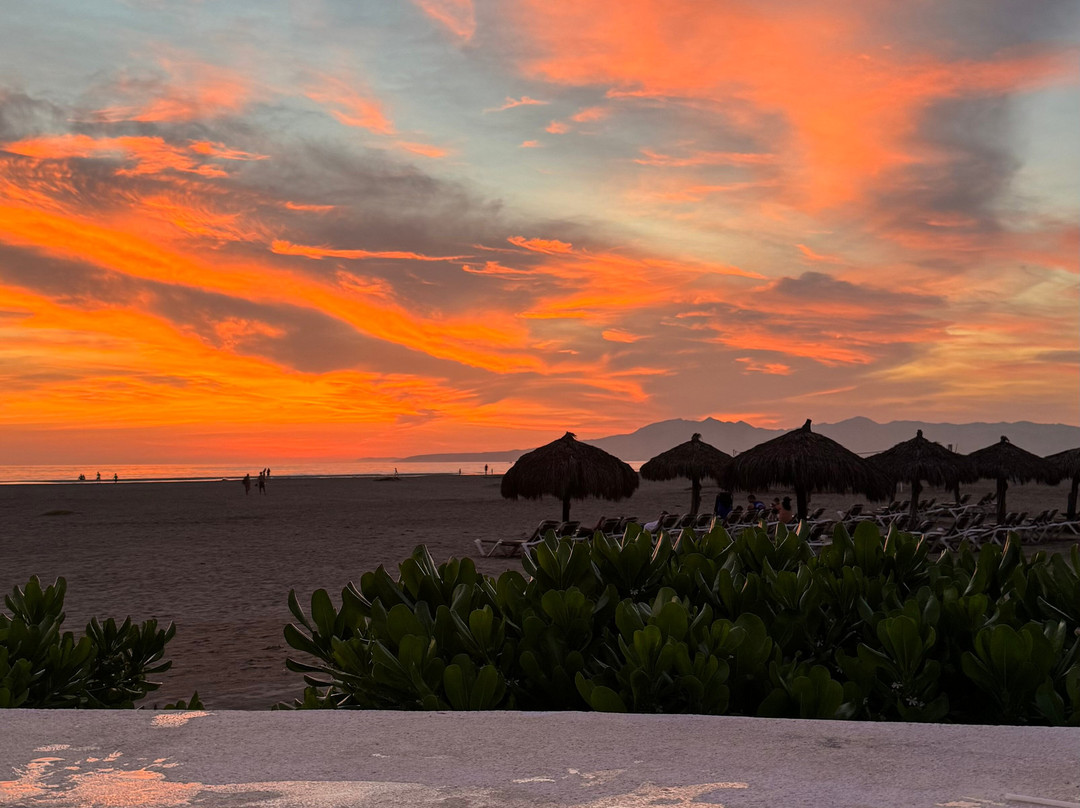 Vidanta Sea Garden Nuevo Vallarta主图