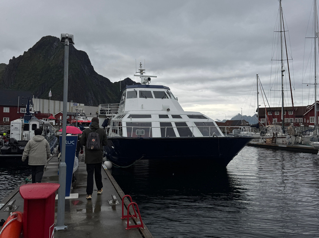 Go2Lofoten-斯沃尔韦尔必去景点